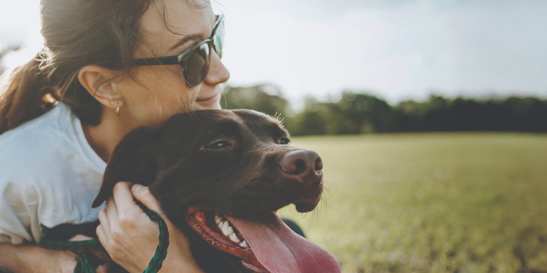 sparkle-grooming-co-strengthens-midwest-presence-adds-kansas-to-its-map