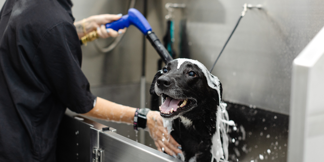 how-sparkle-is-rebuilding-a-broken-industry