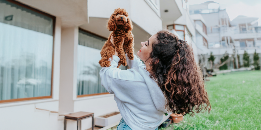 fitness-to-fur-veteran-multi-unit-operators-bring-sparkle-grooming-co-to-tampa-bay