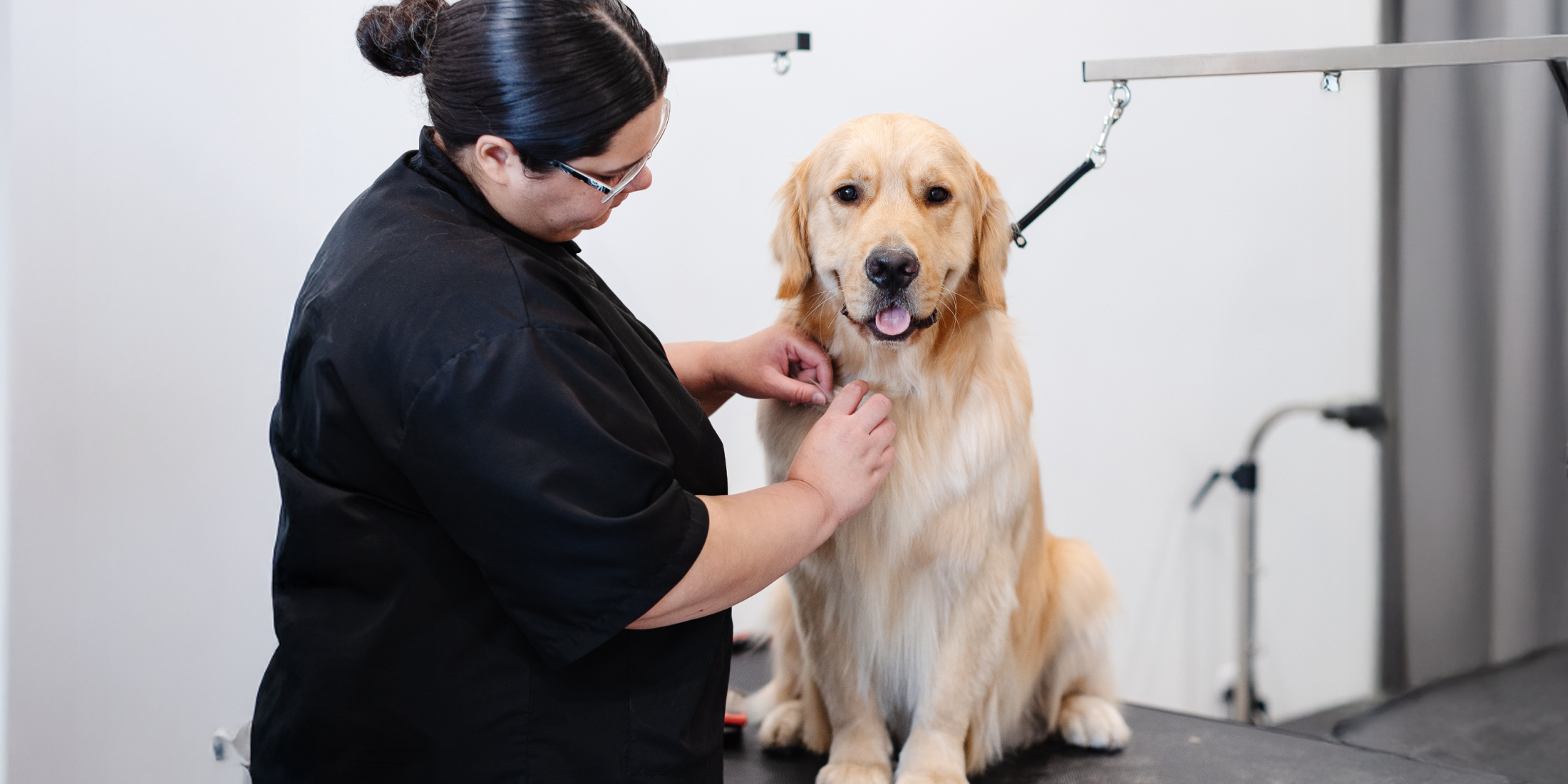 sparkle-grooming-co-opens-first-jacksonville-salon