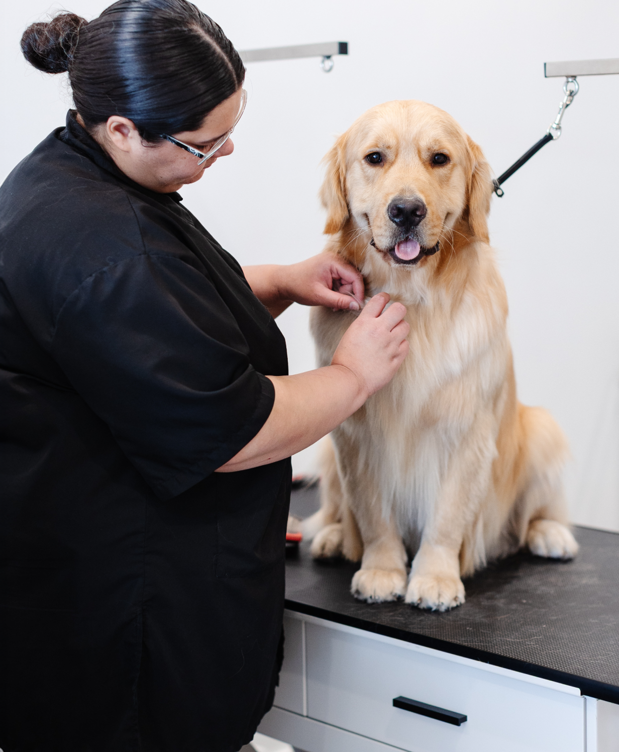 Sparkle Grooming Co. Opens First Jacksonville Salon